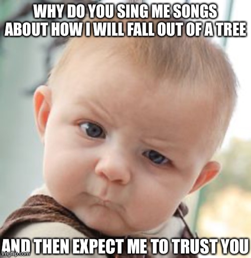 Skeptical Baby | WHY DO YOU SING ME SONGS ABOUT HOW I WILL FALL OUT OF A TREE; AND THEN EXPECT ME TO TRUST YOU | image tagged in memes,skeptical baby | made w/ Imgflip meme maker