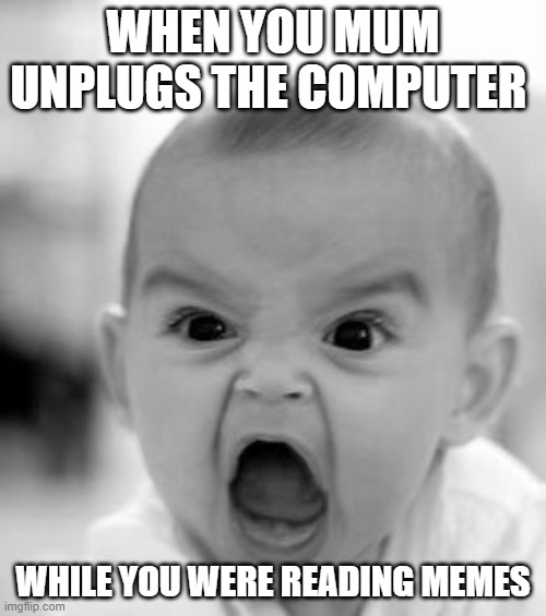 screeming |  WHEN YOU MUM UNPLUGS THE COMPUTER; WHILE YOU WERE READING MEMES | image tagged in memes,angry baby | made w/ Imgflip meme maker