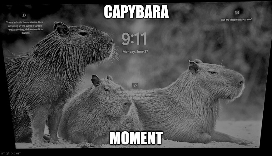 CAPYBARA; MOMENT | made w/ Imgflip meme maker