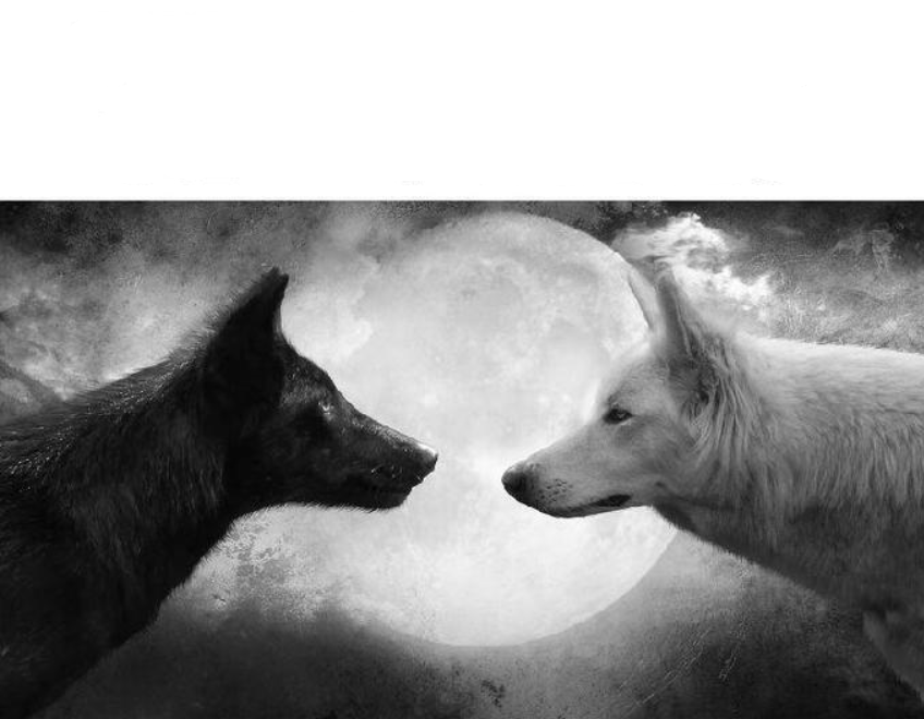 Inside Of You There Are Two Wolves Blank Template Imgflip