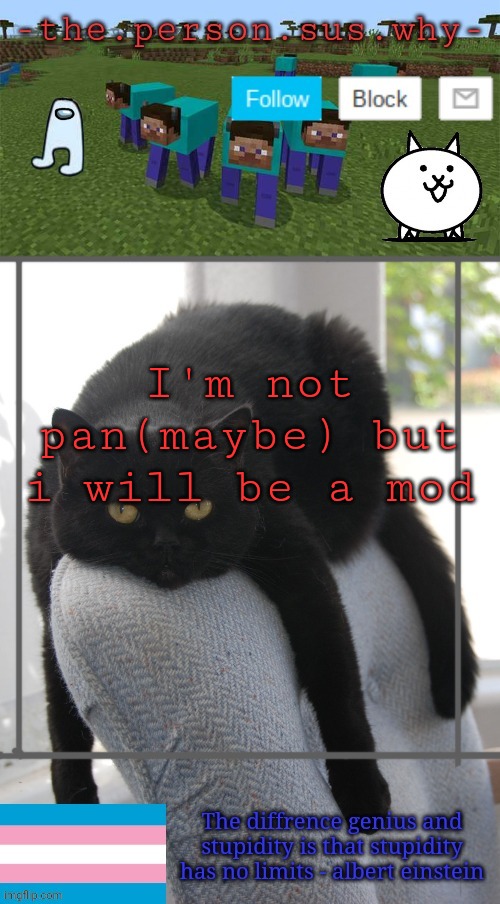 Cus all of you are valid | I'm not pan(maybe) but i will be a mod | image tagged in someone s temp | made w/ Imgflip meme maker
