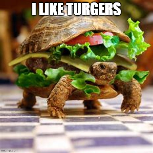 I LIKE TURGERS | made w/ Imgflip meme maker