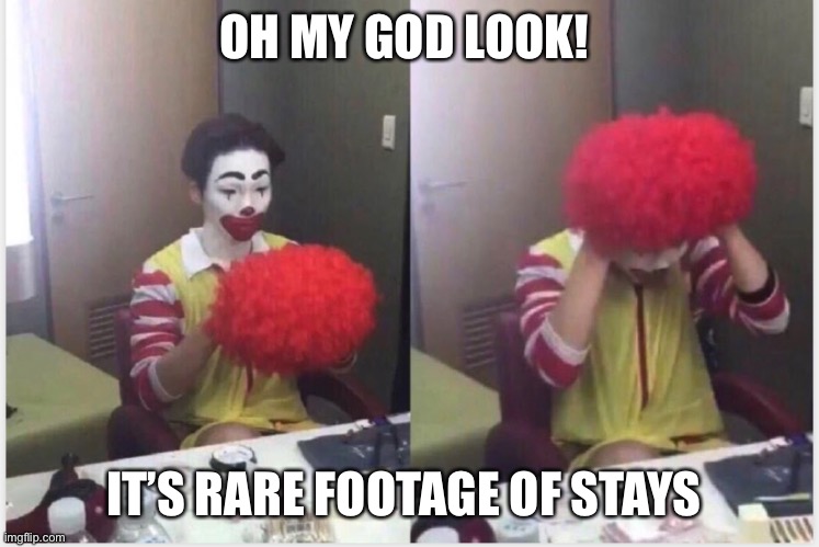 All stays are clowns | OH MY GOD LOOK! IT’S RARE FOOTAGE OF STAYS | image tagged in kpop | made w/ Imgflip meme maker