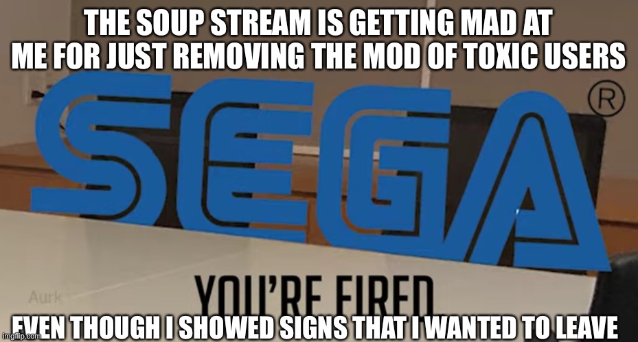 DUMBASS, I HAVE MOD HERE!!! | THE SOUP STREAM IS GETTING MAD AT ME FOR JUST REMOVING THE MOD OF TOXIC USERS; EVEN THOUGH I SHOWED SIGNS THAT I WANTED TO LEAVE | image tagged in you re fired | made w/ Imgflip meme maker