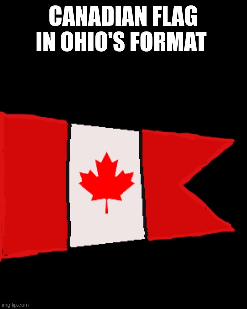 gift for crossbones | CANADIAN FLAG IN OHIO'S FORMAT | image tagged in flag,art | made w/ Imgflip meme maker