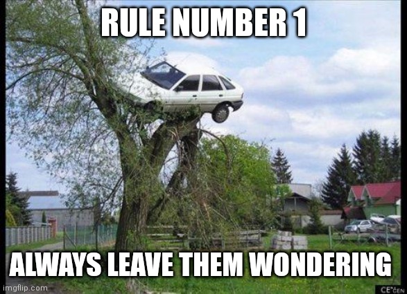 car in tree | RULE NUMBER 1 ALWAYS LEAVE THEM WONDERING | image tagged in car in tree | made w/ Imgflip meme maker