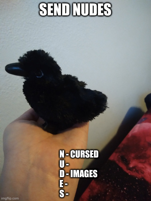 Moolu's raven plushie | SEND NUDES; N - CURSED
U - 
D - IMAGES
E - 
S - | image tagged in moolu's raven plushie | made w/ Imgflip meme maker