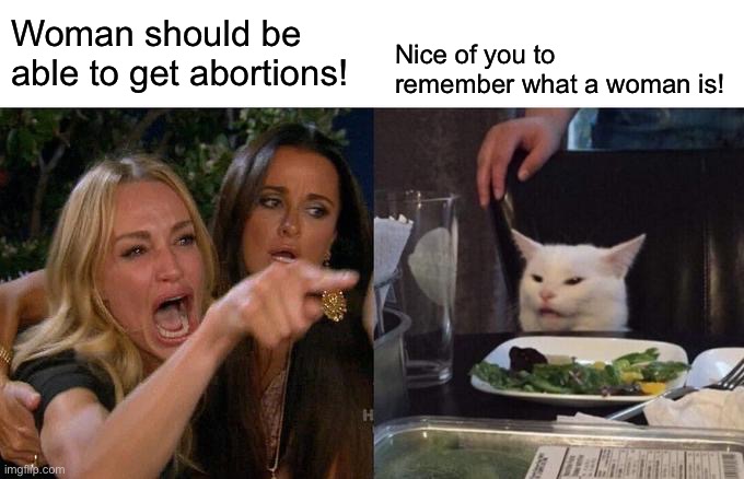 Woman Yelling At Cat Meme | Nice of you to remember what a woman is! Woman should be able to get abortions! | image tagged in memes,woman yelling at cat | made w/ Imgflip meme maker