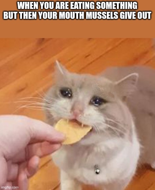 Sad cat eating chip | WHEN YOU ARE EATING SOMETHING BUT THEN YOUR MOUTH MUSSELS GIVE OUT | image tagged in sad cat eating chip | made w/ Imgflip meme maker