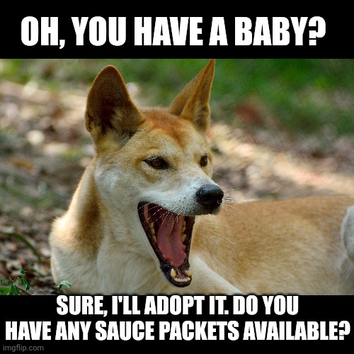 OH, YOU HAVE A BABY? SURE, I'LL ADOPT IT. DO YOU HAVE ANY SAUCE PACKETS AVAILABLE? | made w/ Imgflip meme maker