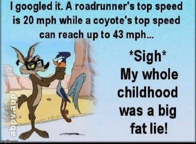 Truth | image tagged in cartoon,road runner | made w/ Imgflip meme maker