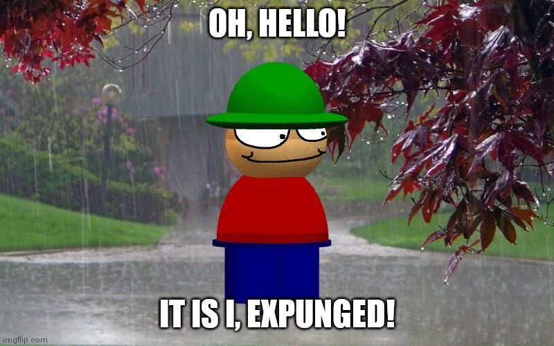 rainy day | OH, HELLO! IT IS I, EXPUNGED! | image tagged in rainy day | made w/ Imgflip meme maker