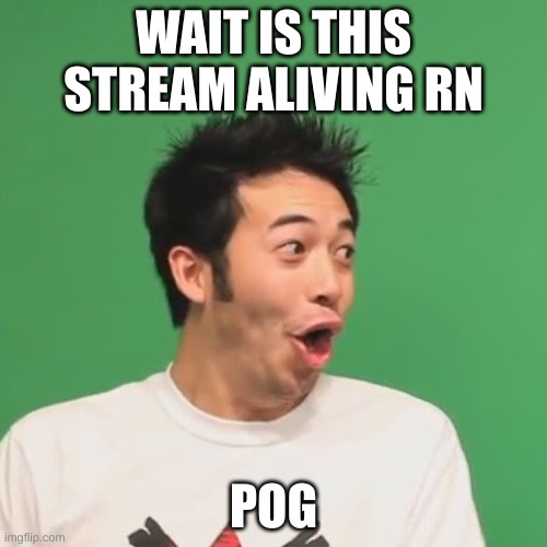 e | WAIT IS THIS STREAM ALIVING RN; POG | image tagged in pogchamp | made w/ Imgflip meme maker