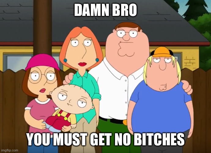 damn bro | DAMN BRO YOU MUST GET NO BITCHES | image tagged in damn bro | made w/ Imgflip meme maker