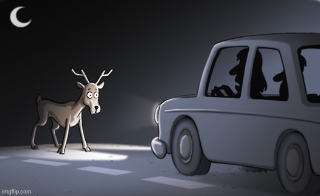 Deer In The Headlights | image tagged in deer in the headlights | made w/ Imgflip meme maker
