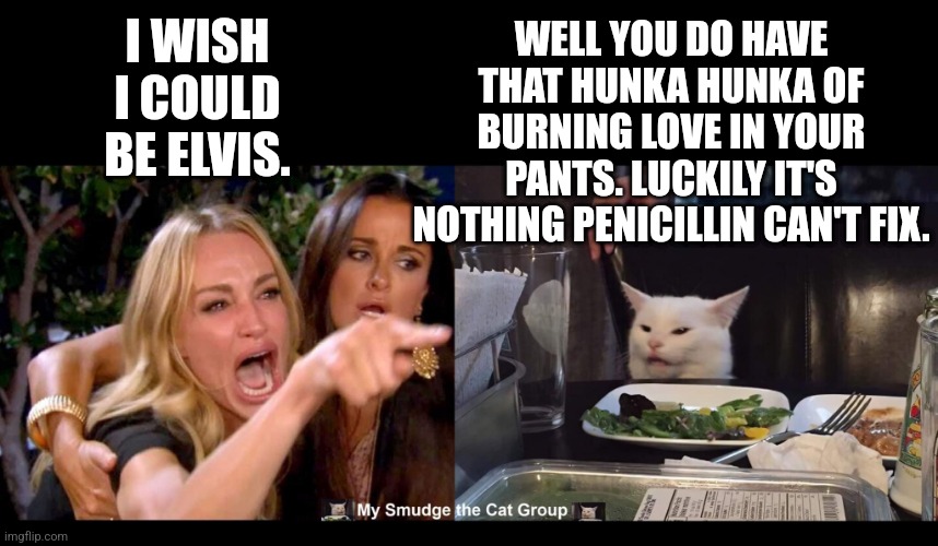 I WISH I COULD BE ELVIS. WELL YOU DO HAVE THAT HUNKA HUNKA OF BURNING LOVE IN YOUR PANTS. LUCKILY IT'S NOTHING PENICILLIN CAN'T FIX. | image tagged in smudge the cat | made w/ Imgflip meme maker