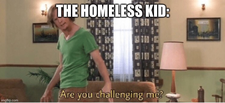 are you challenging me | THE HOMELESS KID: | image tagged in are you challenging me | made w/ Imgflip meme maker