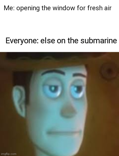 Image title |  Me: opening the window for fresh air; Everyone: else on the submarine | image tagged in dissapointed woody | made w/ Imgflip meme maker