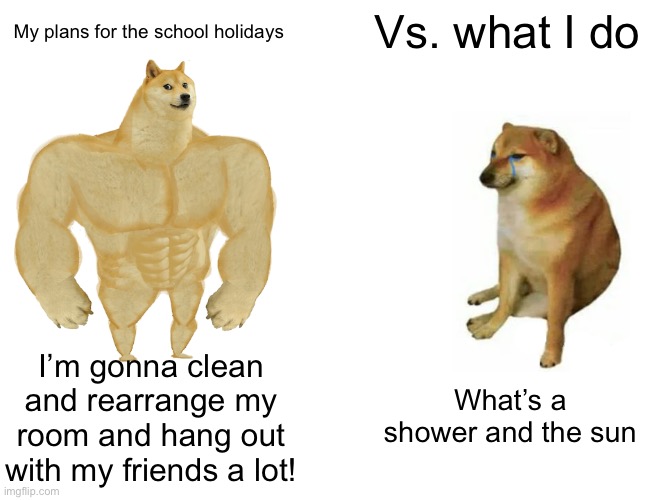 Cri |  Vs. what I do; My plans for the school holidays; I’m gonna clean and rearrange my room and hang out with my friends a lot! What’s a shower and the sun | image tagged in memes,buff doge vs cheems | made w/ Imgflip meme maker