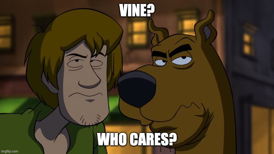 VINE? WHO CARES? | image tagged in who cares | made w/ Imgflip meme maker