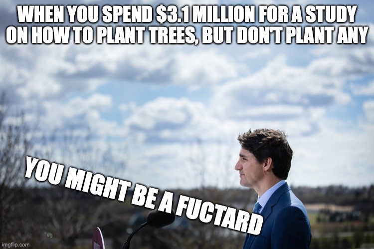 you might be a fuctard |  WHEN YOU SPEND $3.1 MILLION FOR A STUDY ON HOW TO PLANT TREES, BUT DON'T PLANT ANY; YOU MIGHT BE A FUCTARD | image tagged in no trees,fuctard,trudeau | made w/ Imgflip meme maker