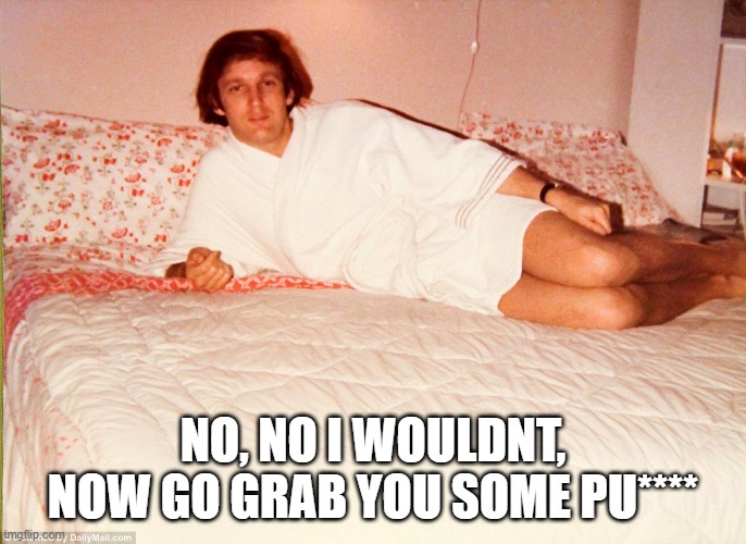 Trump Robe Hey Girl | NO, NO I WOULDNT, NOW GO GRAB YOU SOME PU**** | image tagged in trump robe hey girl | made w/ Imgflip meme maker