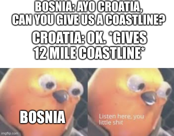 Bosnia’s 12 mile coastline | BOSNIA: AYO CROATIA, CAN YOU GIVE US A COASTLINE? CROATIA: OK. *GIVES 12 MILE COASTLINE*; BOSNIA | image tagged in listen here you little shit bird | made w/ Imgflip meme maker