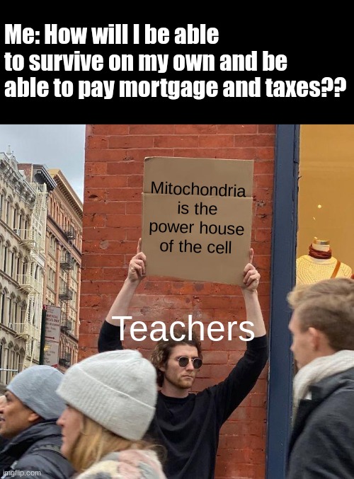 why is it like this?? | Me: How will I be able to survive on my own and be able to pay mortgage and taxes?? Mitochondria is the power house of the cell; Teachers | image tagged in memes,guy holding cardboard sign,science,teachers | made w/ Imgflip meme maker