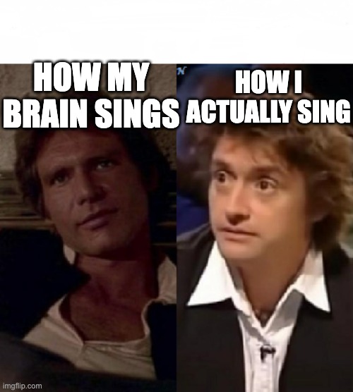 How I think I look | HOW I ACTUALLY SING; HOW MY BRAIN SINGS | image tagged in how i think i look | made w/ Imgflip meme maker
