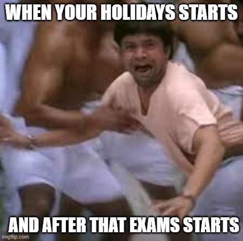 meme | WHEN YOUR HOLIDAYS STARTS; AND AFTER THAT EXAMS STARTS | image tagged in funny memes | made w/ Imgflip meme maker