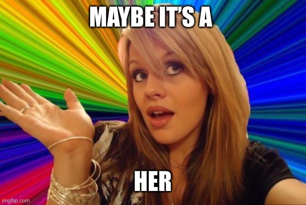 Dumb Blonde Meme | MAYBE IT’S A HER | image tagged in memes,dumb blonde | made w/ Imgflip meme maker