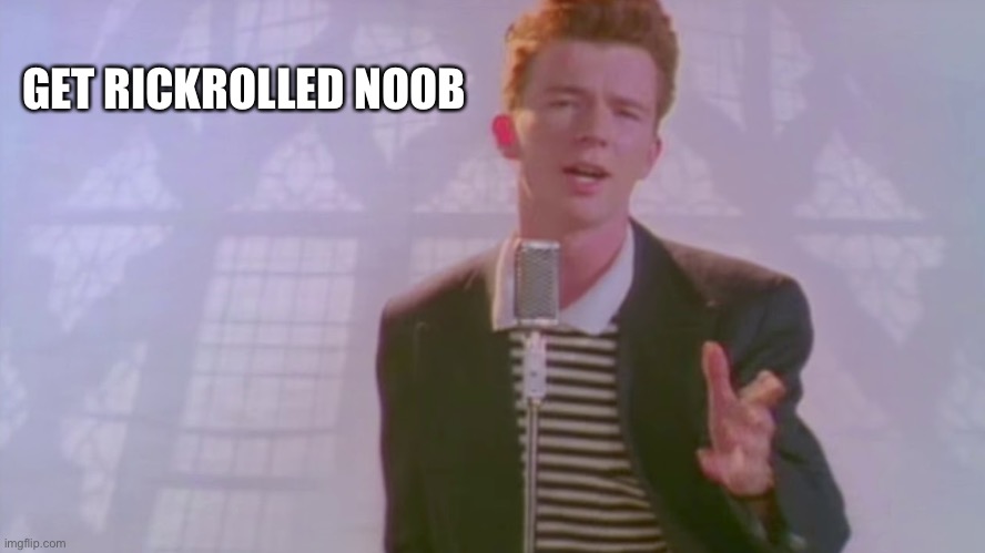 Dog meme | GET RICKROLLED NOOB | image tagged in doge | made w/ Imgflip meme maker