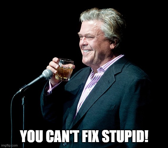 Ron White |  YOU CAN'T FIX STUPID! | image tagged in comedy | made w/ Imgflip meme maker