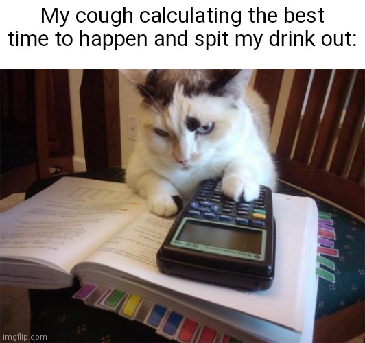 Coughing Vs drinks |  My cough calculating the best time to happen and spit my drink out: | image tagged in math cat,drinking,coughing | made w/ Imgflip meme maker