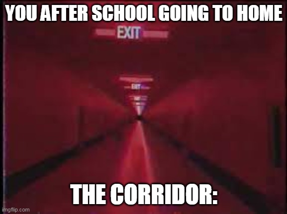 you after school | YOU AFTER SCHOOL GOING TO HOME; THE CORRIDOR: | image tagged in school,backrooms,runforyourlife,meme,the corridor,fun | made w/ Imgflip meme maker