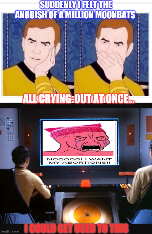 Captain Kirk Was There |  SUDDENLY I FELT THE ANGUISH OF A MILLION MOONBATS; ALL CRYING-OUT AT ONCE... I COULD GET USED TO THIS | image tagged in social justice warriors,star trek,original,series,style | made w/ Imgflip meme maker