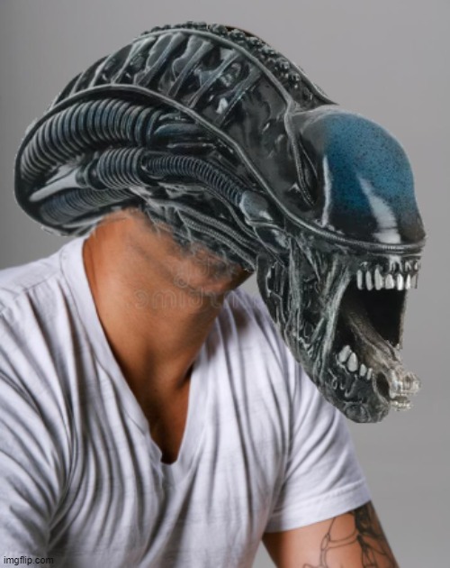 Alien | image tagged in scream,dick,testicle,xenomorph,alien | made w/ Imgflip meme maker