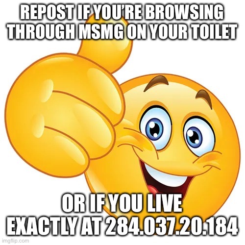  REPOST IF YOU’RE BROWSING THROUGH MSMG ON YOUR TOILET; OR IF YOU LIVE EXACTLY AT 284.037.20.184 | image tagged in thumbs up bitches | made w/ Imgflip meme maker