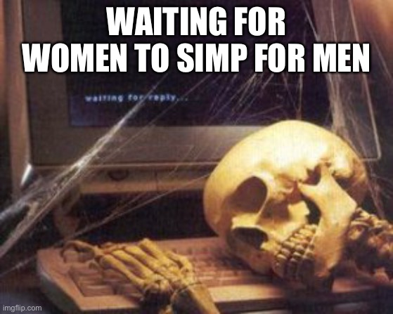 I’ll never understand them | WAITING FOR WOMEN TO SIMP FOR MEN | image tagged in skeleton computer | made w/ Imgflip meme maker