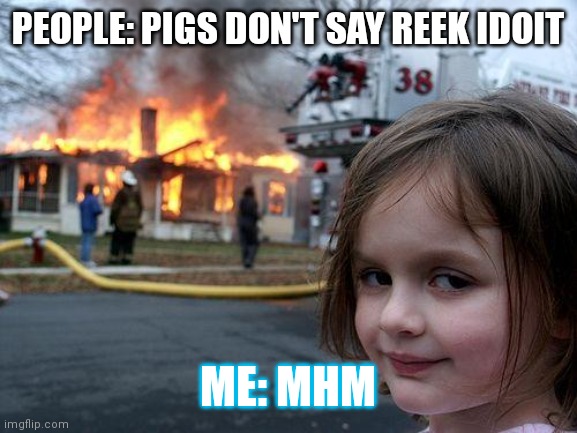Disaster Girl Meme | PEOPLE: PIGS DON'T SAY REEK IDOIT; ME: MHM | image tagged in memes,disaster girl | made w/ Imgflip meme maker
