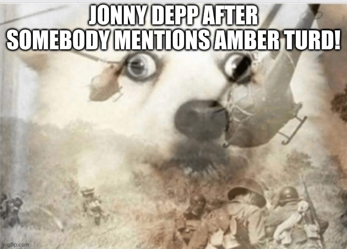Jonny Depp! | JONNY DEPP AFTER SOMEBODY MENTIONS AMBER TURD! | image tagged in ptsd dog | made w/ Imgflip meme maker