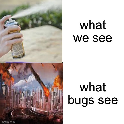 just a regular meme | what we see; what bugs see | image tagged in memes | made w/ Imgflip meme maker