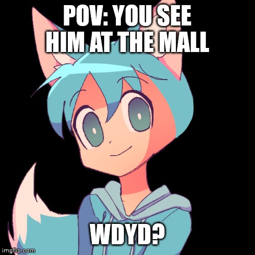 Roleplay with Icefox(No joke OCs, Hurting/killing deep in memechat) |  POV: YOU SEE HIM AT THE MALL; WDYD? | image tagged in icefox,roleplaying,mall | made w/ Imgflip meme maker