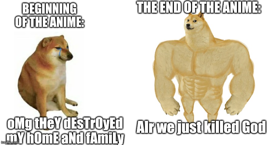 True tho | THE END OF THE ANIME:; BEGINNING OF THE ANIME:; Alr we just killed God; oMg tHeY dEsTrOyEd mY hOmE aNd fAmiLy | image tagged in swole doge vs cheems flipped | made w/ Imgflip meme maker