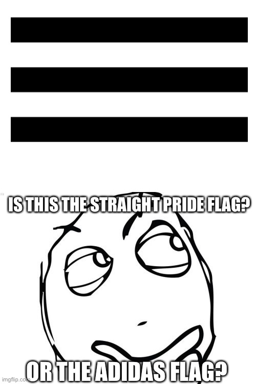 Hmmmmmm | IS THIS THE STRAIGHT PRIDE FLAG? OR THE ADIDAS FLAG? | image tagged in memes,funny,question rage face,straight | made w/ Imgflip meme maker