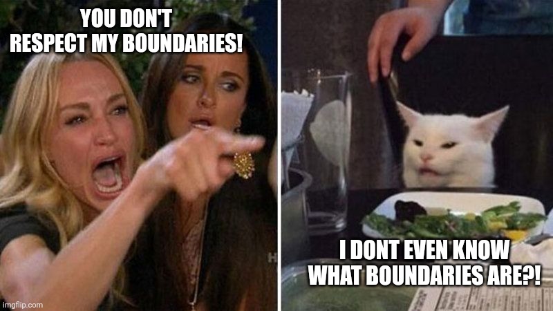 Boundary cat | YOU DON'T RESPECT MY BOUNDARIES! I DONT EVEN KNOW WHAT BOUNDARIES ARE?! | image tagged in cat memes | made w/ Imgflip meme maker
