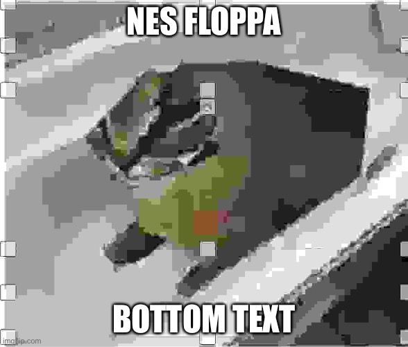 Very low quality floppa | NES FLOPPA; BOTTOM TEXT | image tagged in very low quality floppa | made w/ Imgflip meme maker