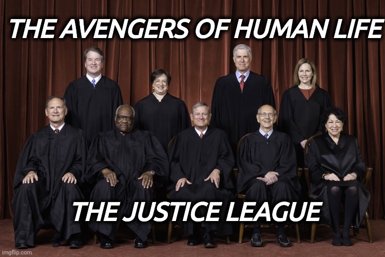 Finally | THE AVENGERS OF HUMAN LIFE; THE JUSTICE LEAGUE | image tagged in scotus supreme court 2022 | made w/ Imgflip meme maker