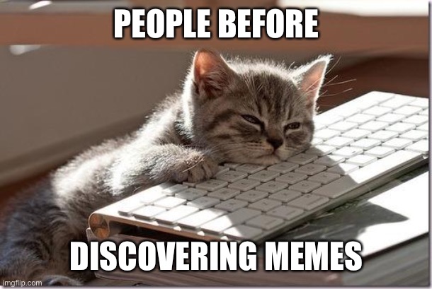 Sad cat | PEOPLE BEFORE; DISCOVERING MEMES | image tagged in bored keyboard cat | made w/ Imgflip meme maker