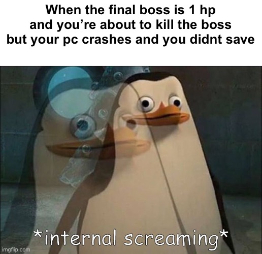 pain | When the final boss is 1 hp and you’re about to kill the boss but your pc crashes and you didnt save | image tagged in private internal screaming,memes,funny,video games,pain | made w/ Imgflip meme maker